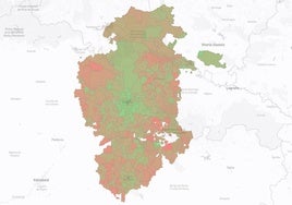 Mapa del nivel de formación de la provincia de Burgos por municipios y secciones censales.