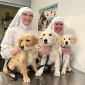 Denuncian a las monjas de Belorado por tener un criadero de perros sin licencias