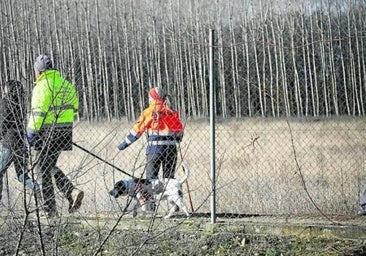 Burgos suma 33 menores desaparecidos en un año