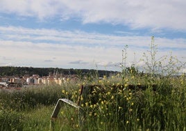 Estado del parque San Isidro en Burgos