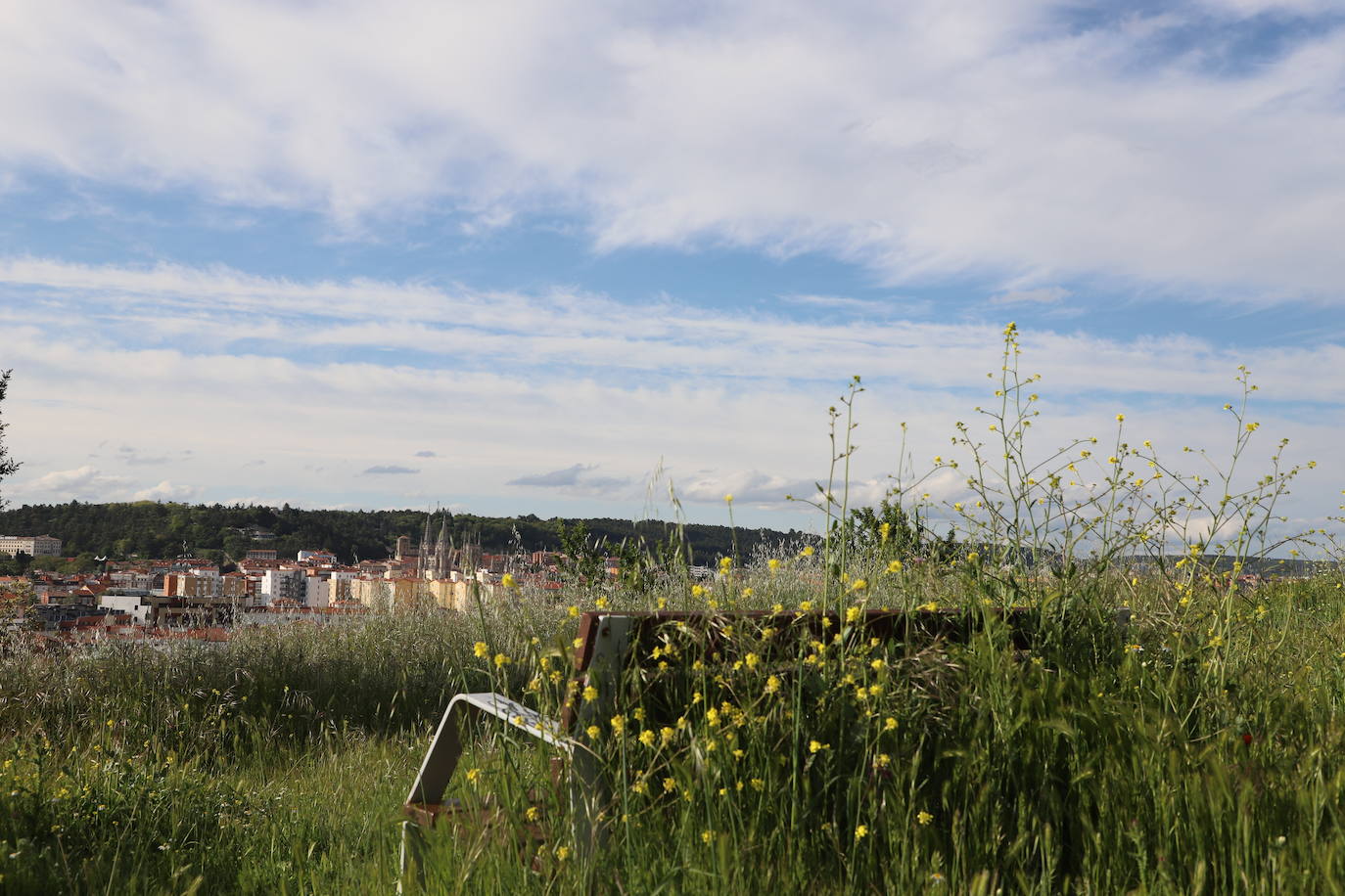 Imágenes del abandono del parque de San Isidro en Burgos