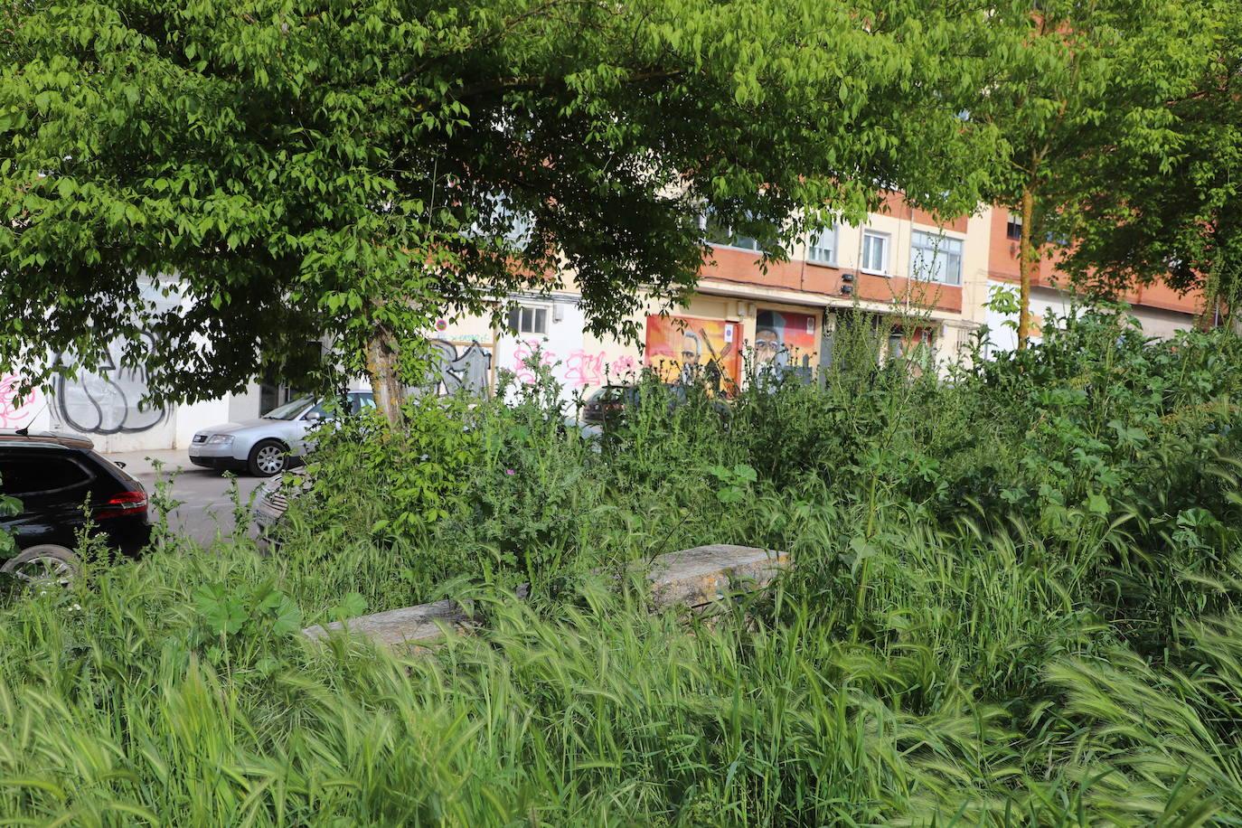 Imágenes del abandono del parque de San Isidro en Burgos