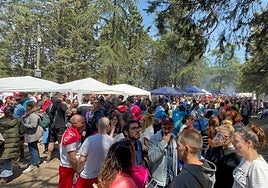 Miltitudinaria celebración de La Blanca en Burgos.