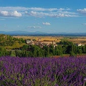 Así será el Lavanda Fest que se celebra en Caleruega este verano