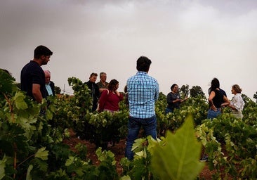 La Ruta Ribera se mantiene como la tercera más visitada del país