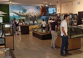 Museo de los Dinosaurios en Salas de los Infantes.