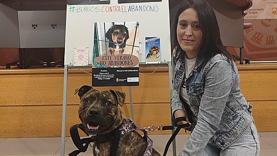 Burgos no consigue reducir el abandono animal y suma 96 casos más en un año