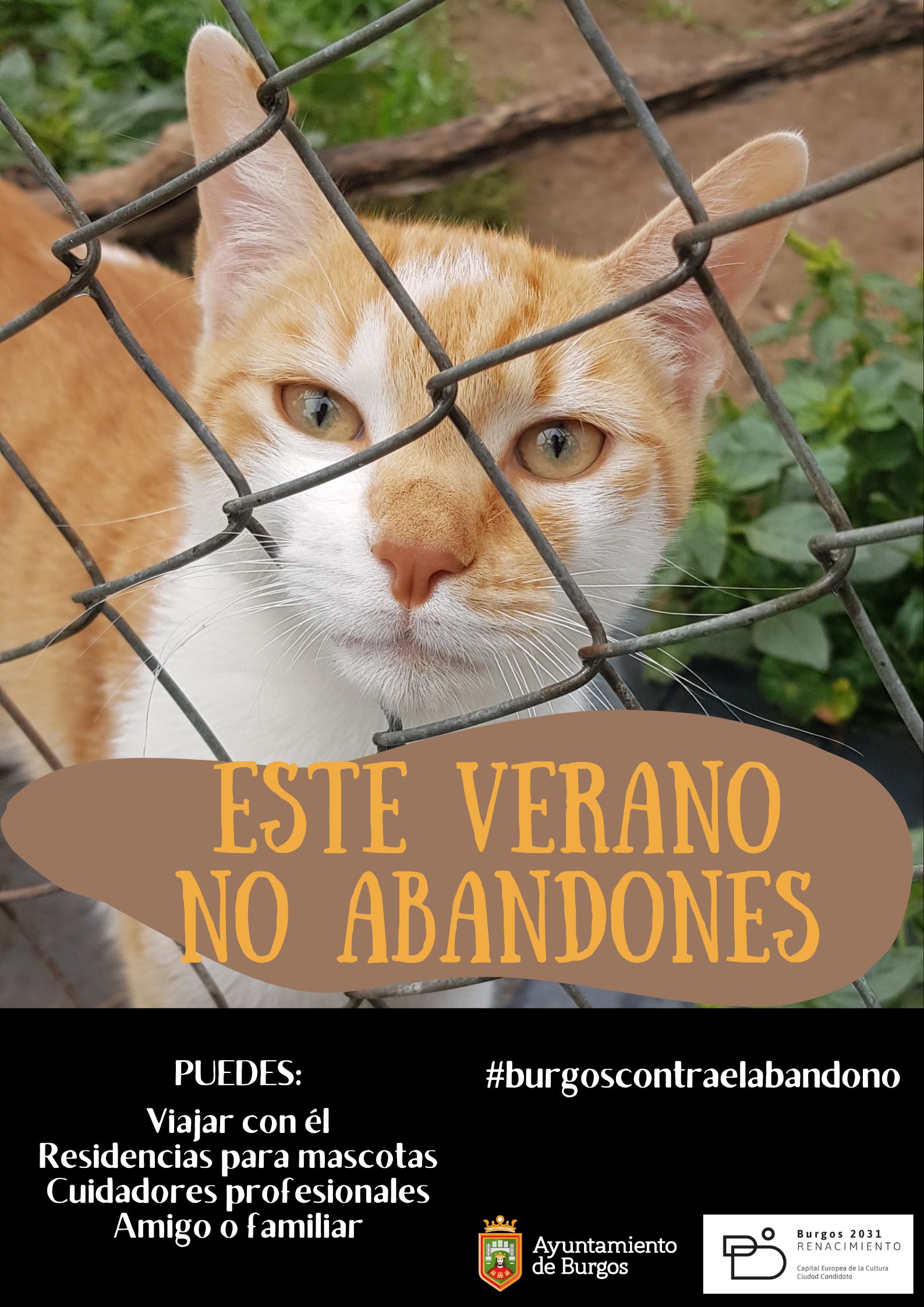 Cartel de la campaña contra el abandono.