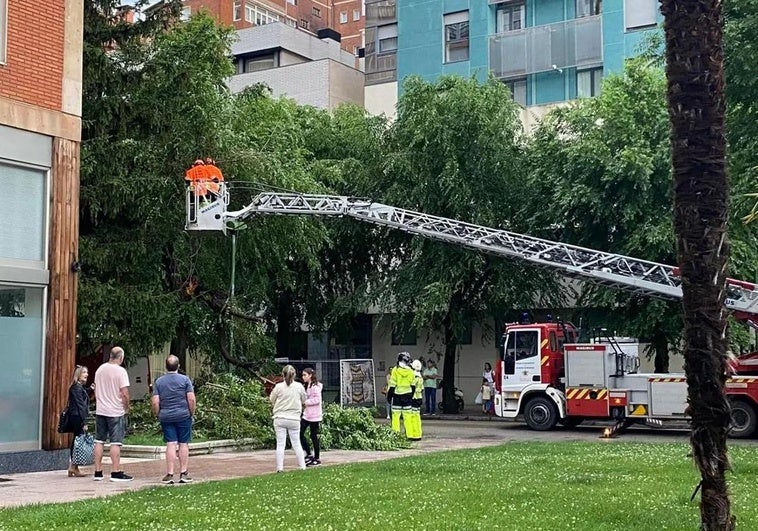 Intervención de los Bomberos de Burgos durante el miércoles