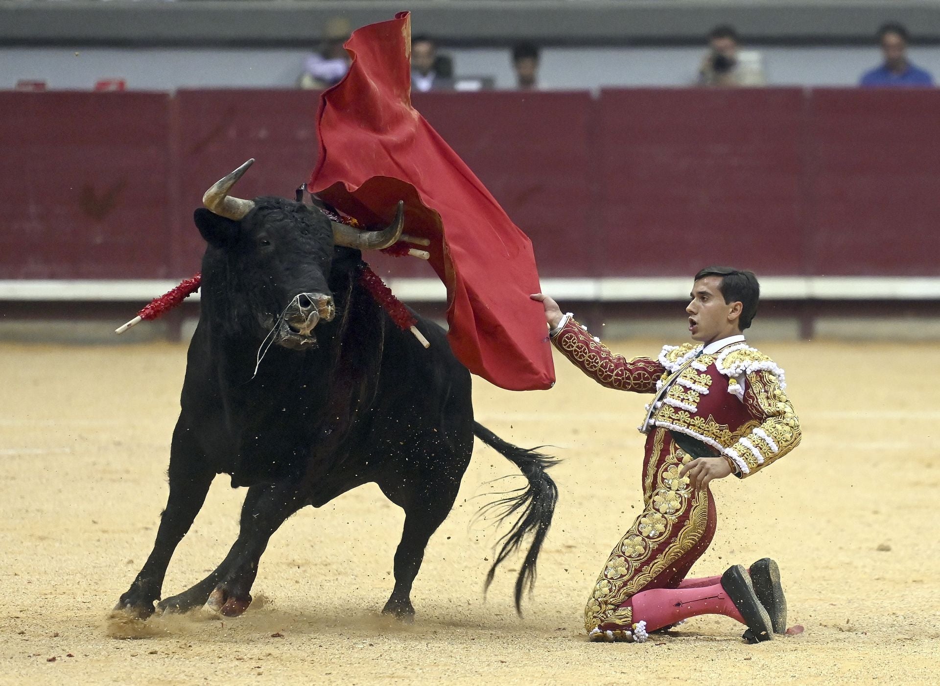 Algunas de las imágenes de la primera corrida de toros de los Sampedros