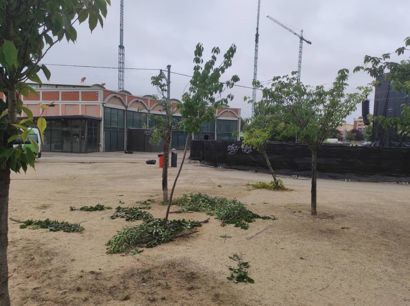 Este es el estado del entorno del hangar que ha despertado las quejas de los vecinos