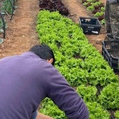 Más del 73 por ciento de los compradores pagan en plazos superiores a treinta días a los agricultores