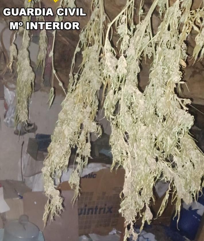 Imagen secundaria 2 - Detenido un hombre en Burgos por amenazas, tener 1,7 kilos de marihuana y un revólver