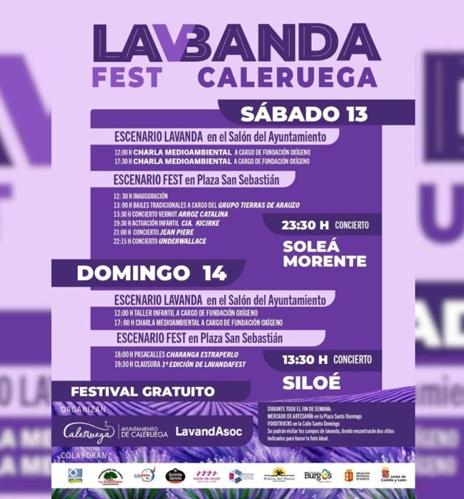 Cartel del Lavanda Fest 2024 de Caleruega.