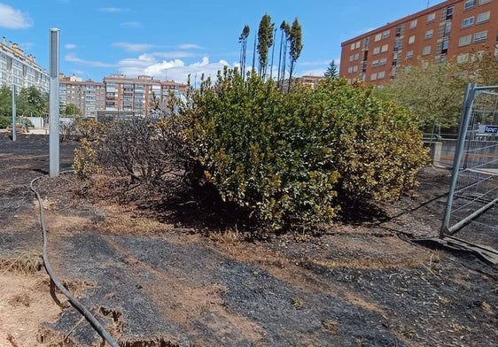 Zona quemada del parque Félix en Burgos.