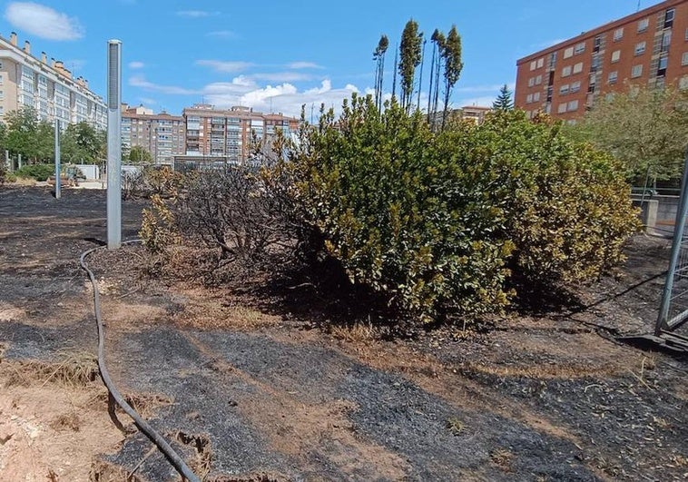 Zona quemada del parque Félix en Burgos.