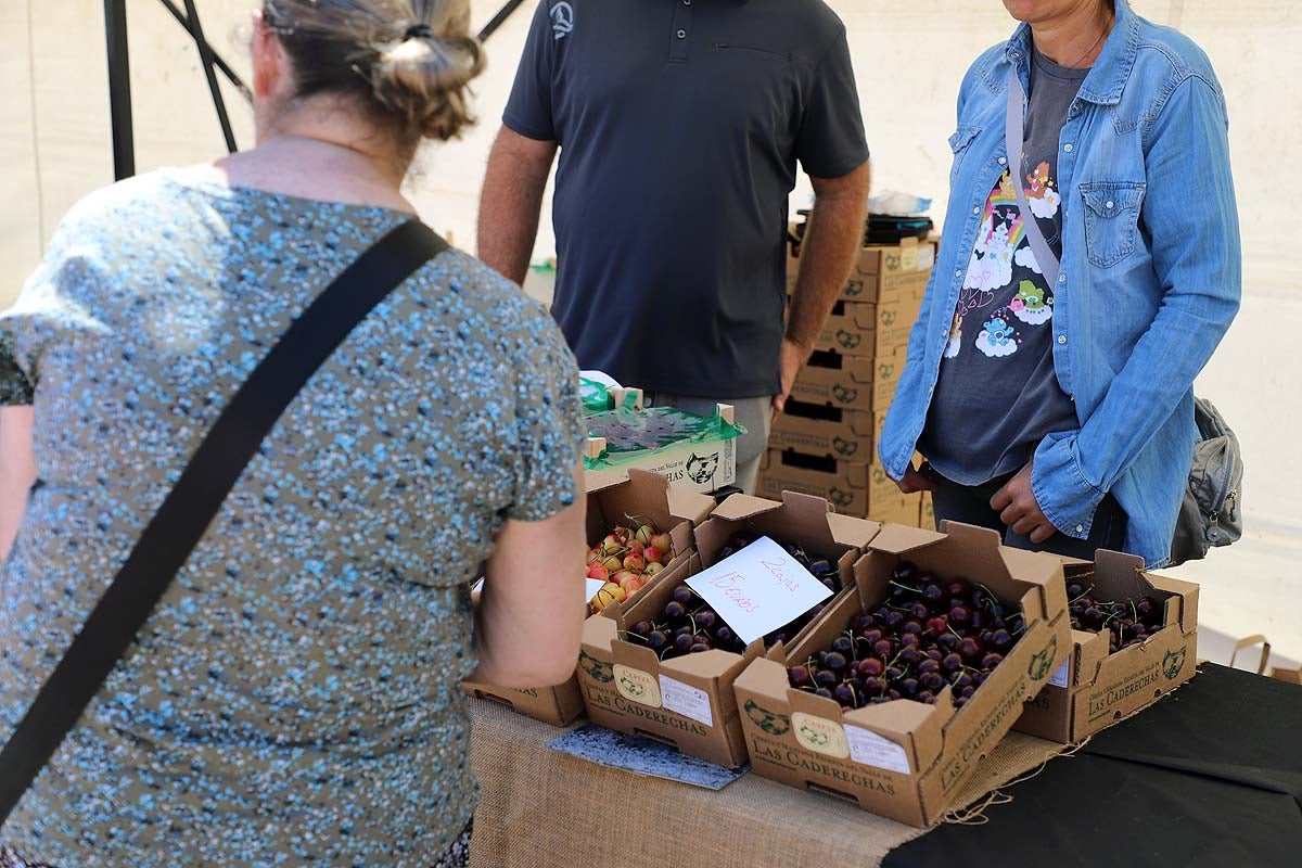 Así ha sido la feria de la cereza del Valle de las Caderechas en Burgos