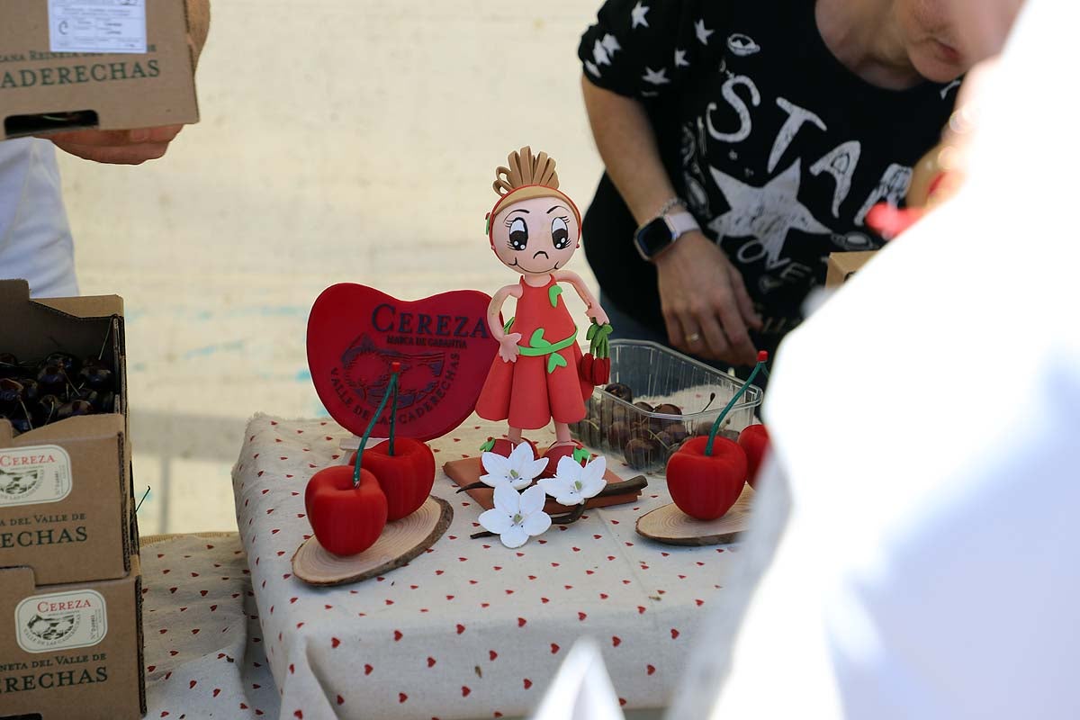 Así ha sido la feria de la cereza del Valle de las Caderechas en Burgos