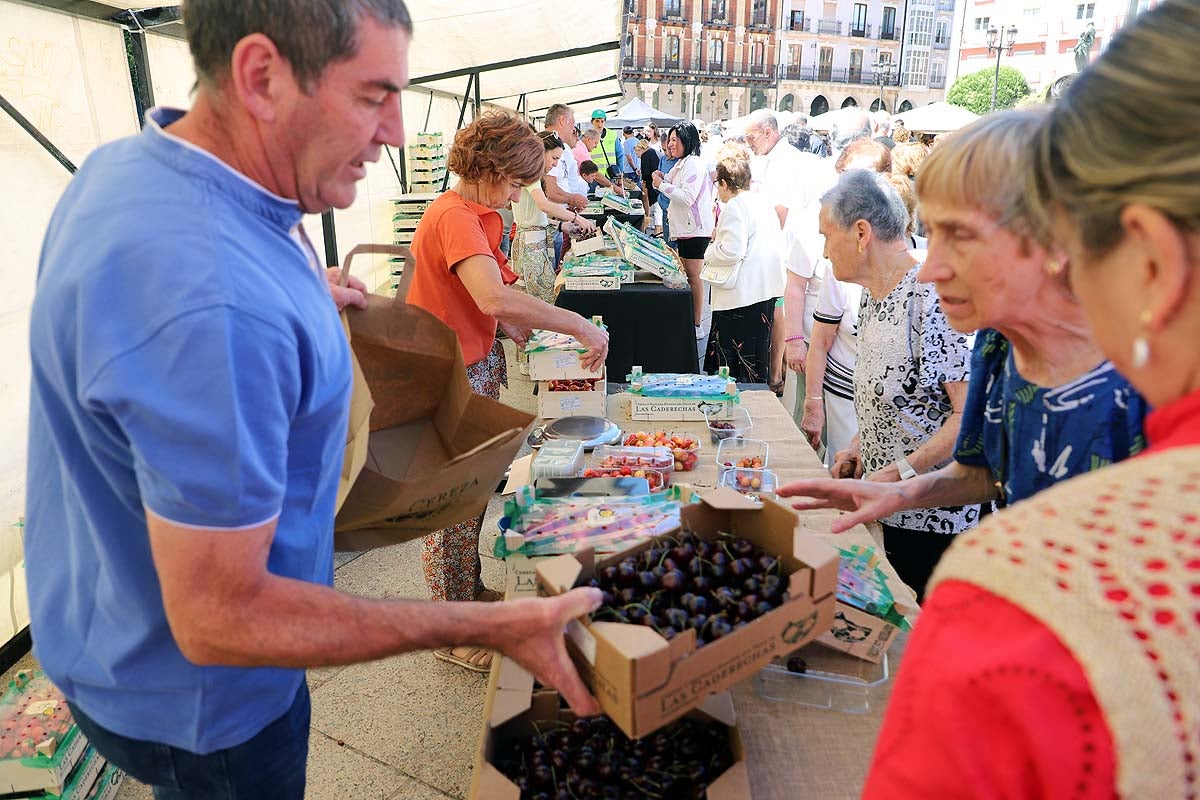 Así ha sido la feria de la cereza del Valle de las Caderechas en Burgos