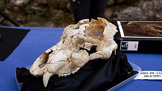 Resultados de la campaña de excavaciones 2024 en los yacimientos de Atapuerca