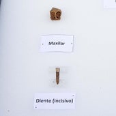 El Homo antecessor reaparece en Atapuerca treinta años después