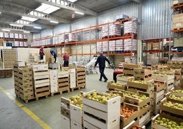 Recogida de alimentos de la Fundación del Banco de Alimentos de Valladolid.