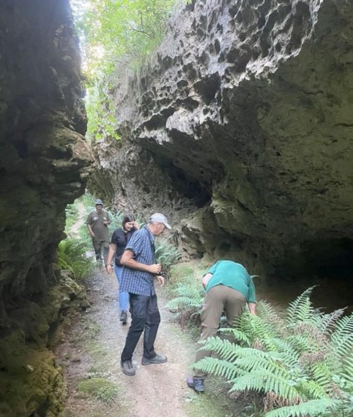 Imagen secundaria 2 - Arriba, visita a la Ermita Rupestre de Olleros de Pisuerga; Cueva de los Franceses, abajo a la izquierda, y el Espacio Natural de las Tuerces (a la derecha); 