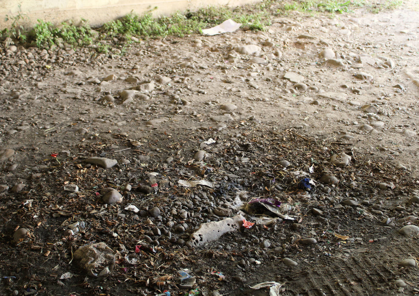 La basura se acumula en la ribera del Arlanzón en Burgos