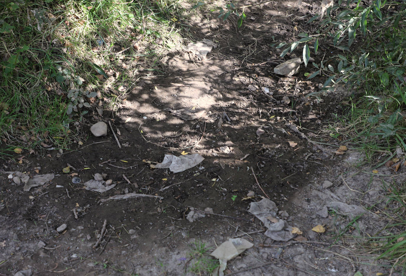 La basura se acumula en la ribera del Arlanzón en Burgos