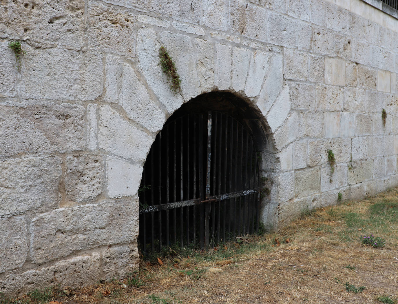 La basura se acumula en la ribera del Arlanzón en Burgos