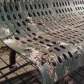 Los excrementos de palomas se apoderan de decenas de bancos en Burgos