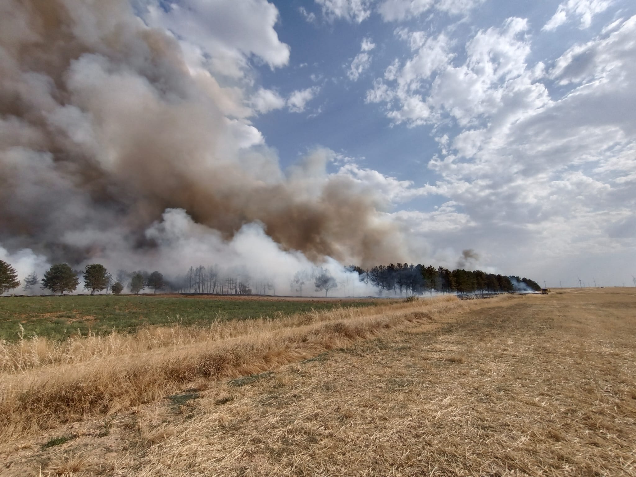 Incendio forestal y agrícola cerca de Villacienzo