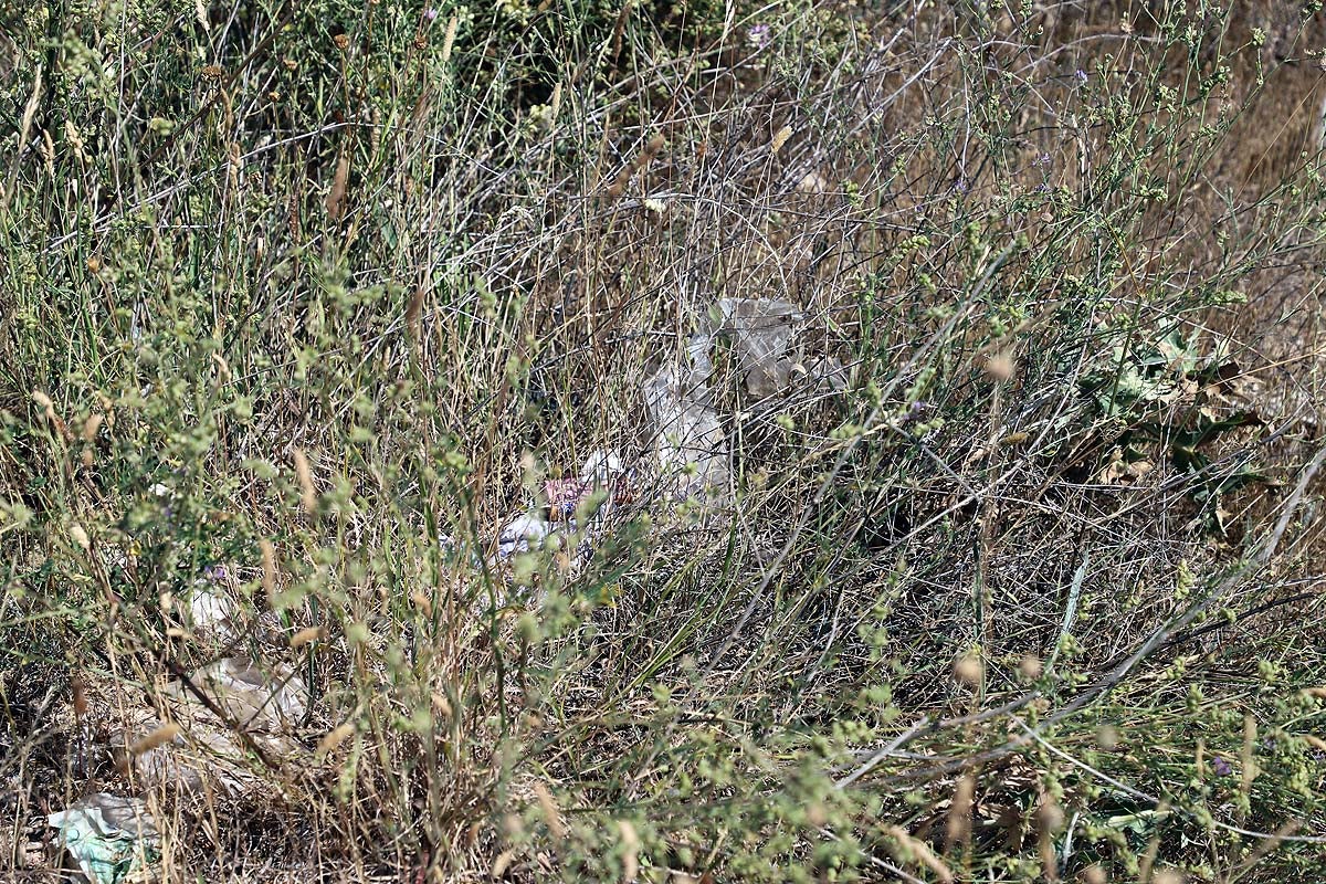 Basura en los exteriores de los centros de residuos.