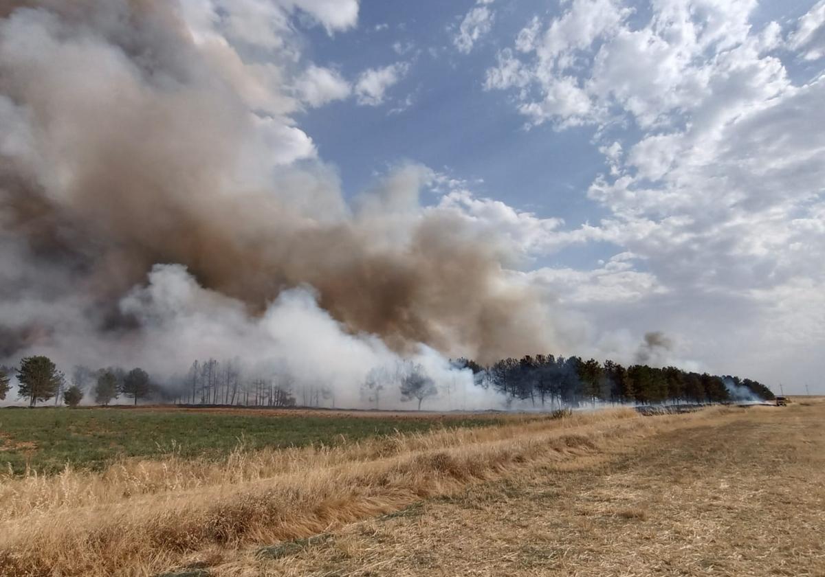 El fuego se ubica entre un bosque de pinos y una finca de cultivo ya cosechada cerca de Villacienzo.