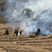 Controlan un incendio forestal en Villela