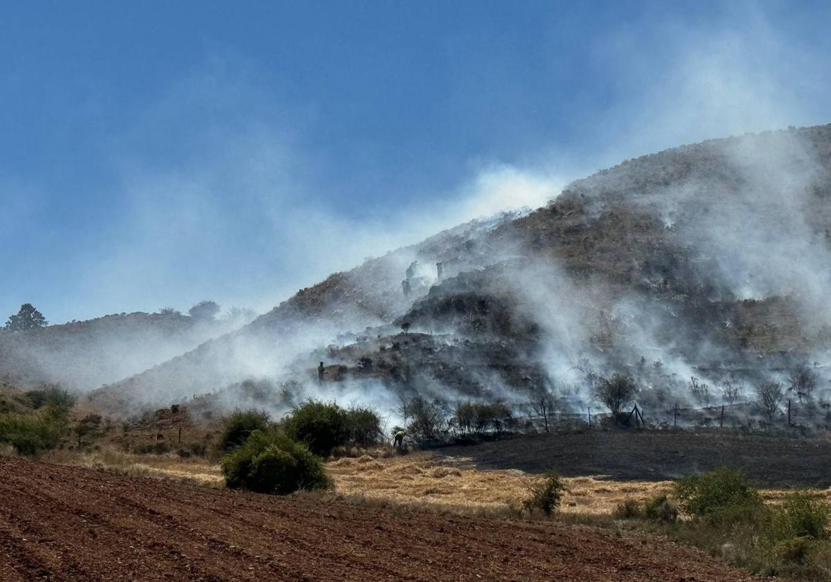 Imagen principal - Controlan un incendio forestal en Villela