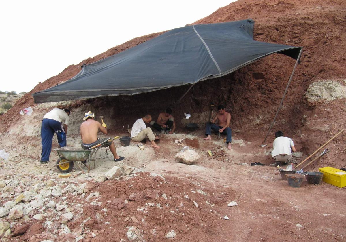 Imagen principal - Visita de los miembros del CAS a Villa El Chocón y a la excavación. 