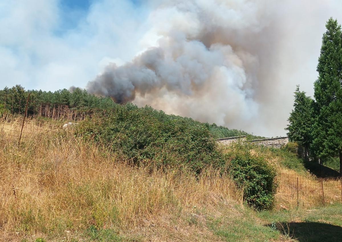 Imagen secundaria 1 - Frenan el avance de las llamas en Monterrubio de La Demanda