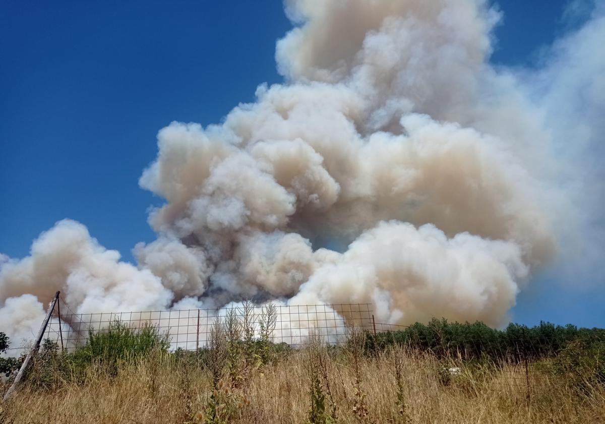 Imagen principal - Frenan el avance de las llamas en Monterrubio de La Demanda