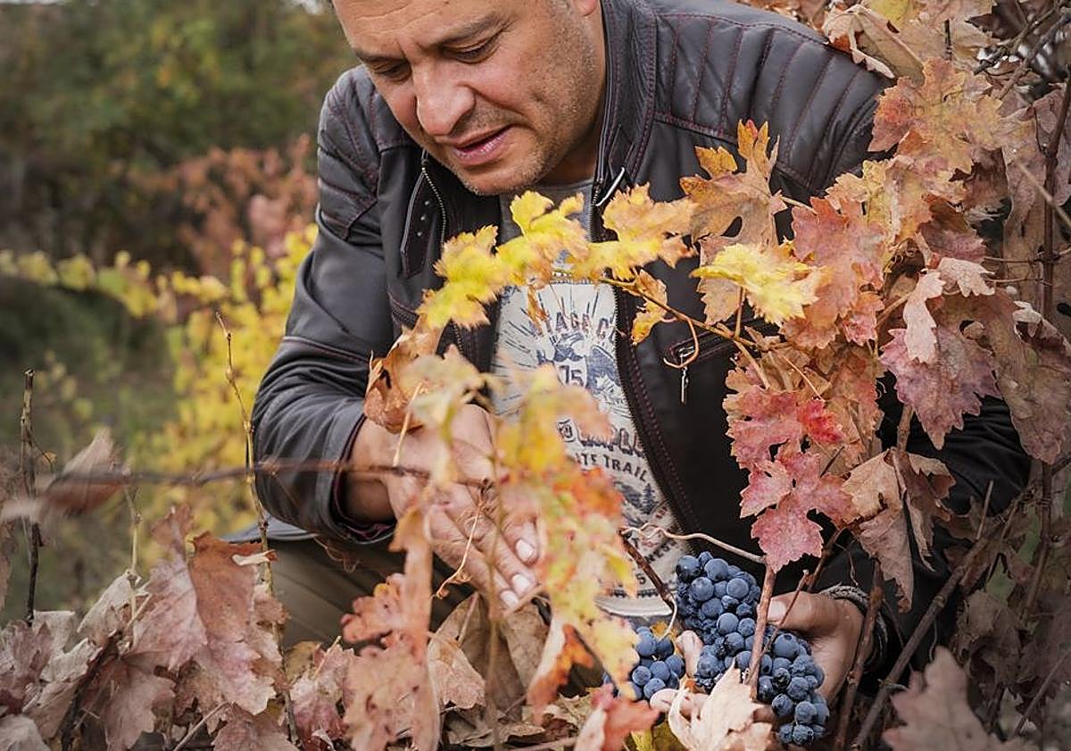 Imagen principal - Bodegas Palacio de Lerma.