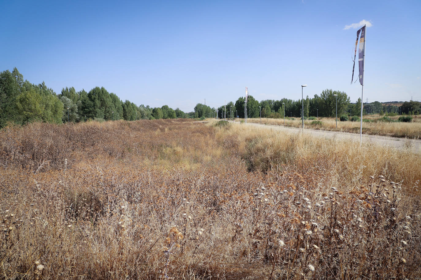 Urbanizaciones fantasma en Burgos: cementerios de hormigón y escombros