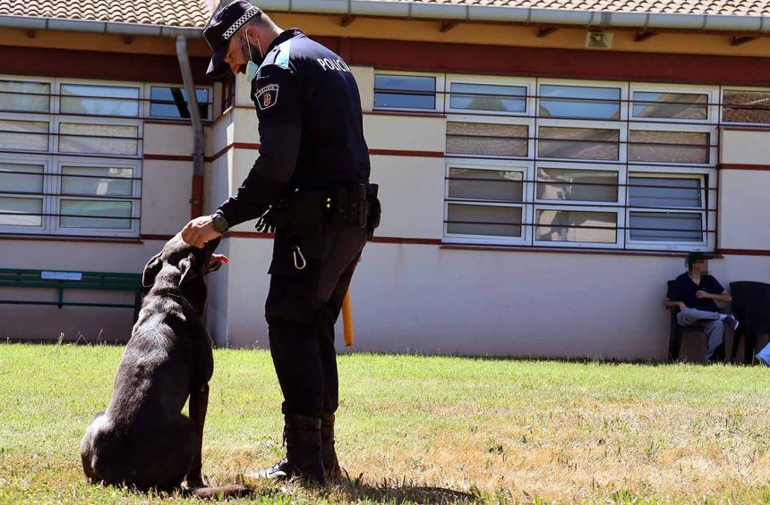 Uno de los perros que forma la unidad canina de Burgos.