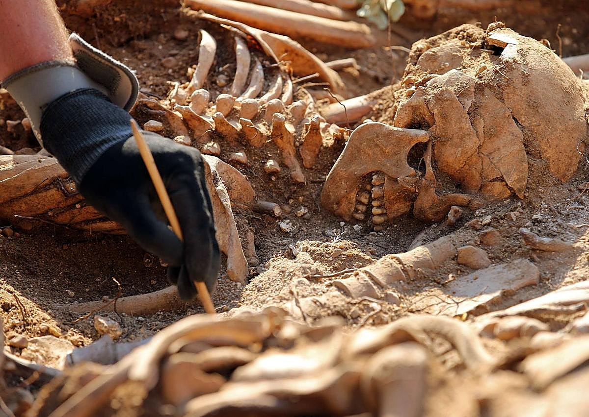 Imagen secundaria 1 - Trabajos de exhumación en las fosas del monte de Estépar. 