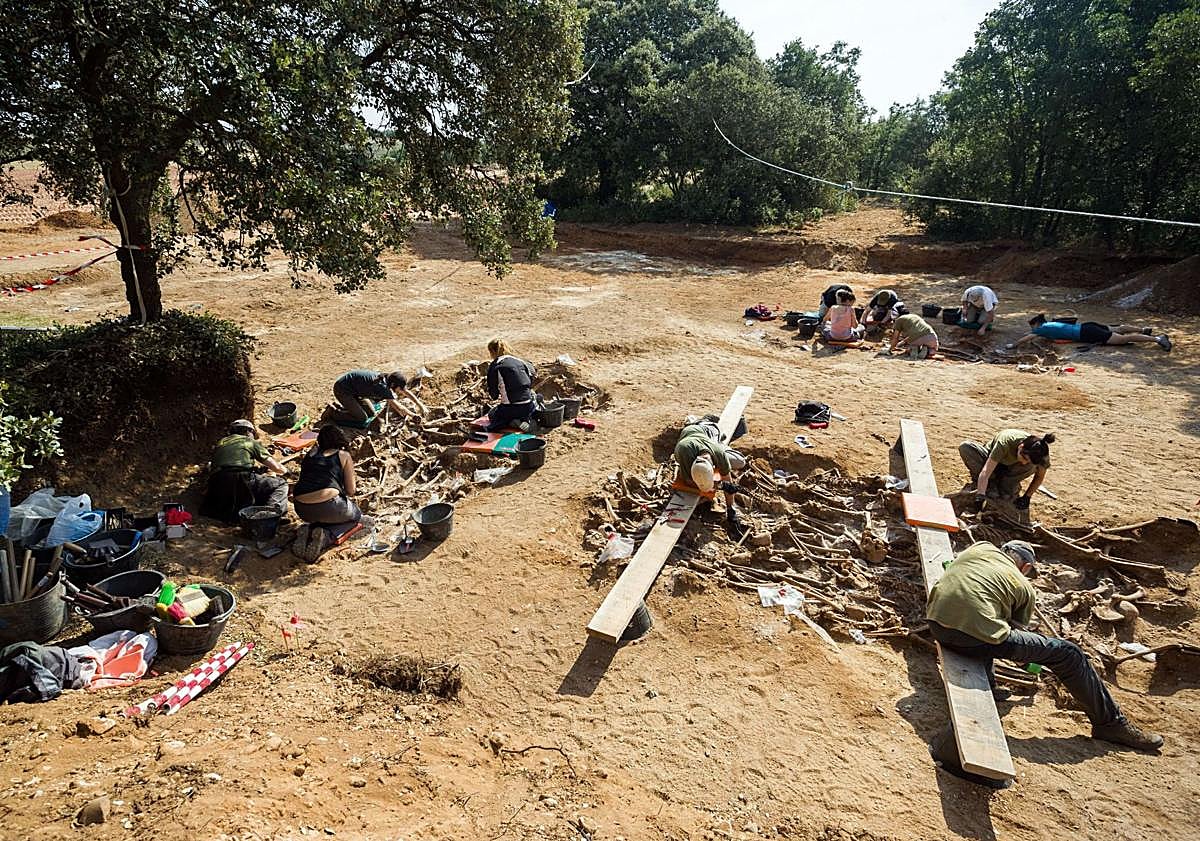 Imagen principal - Trabajos de exhumación en las fosas del monte de Estépar. 