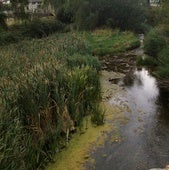 Un nuevo vertido en el Arlanzón compromete la salubridad del agua