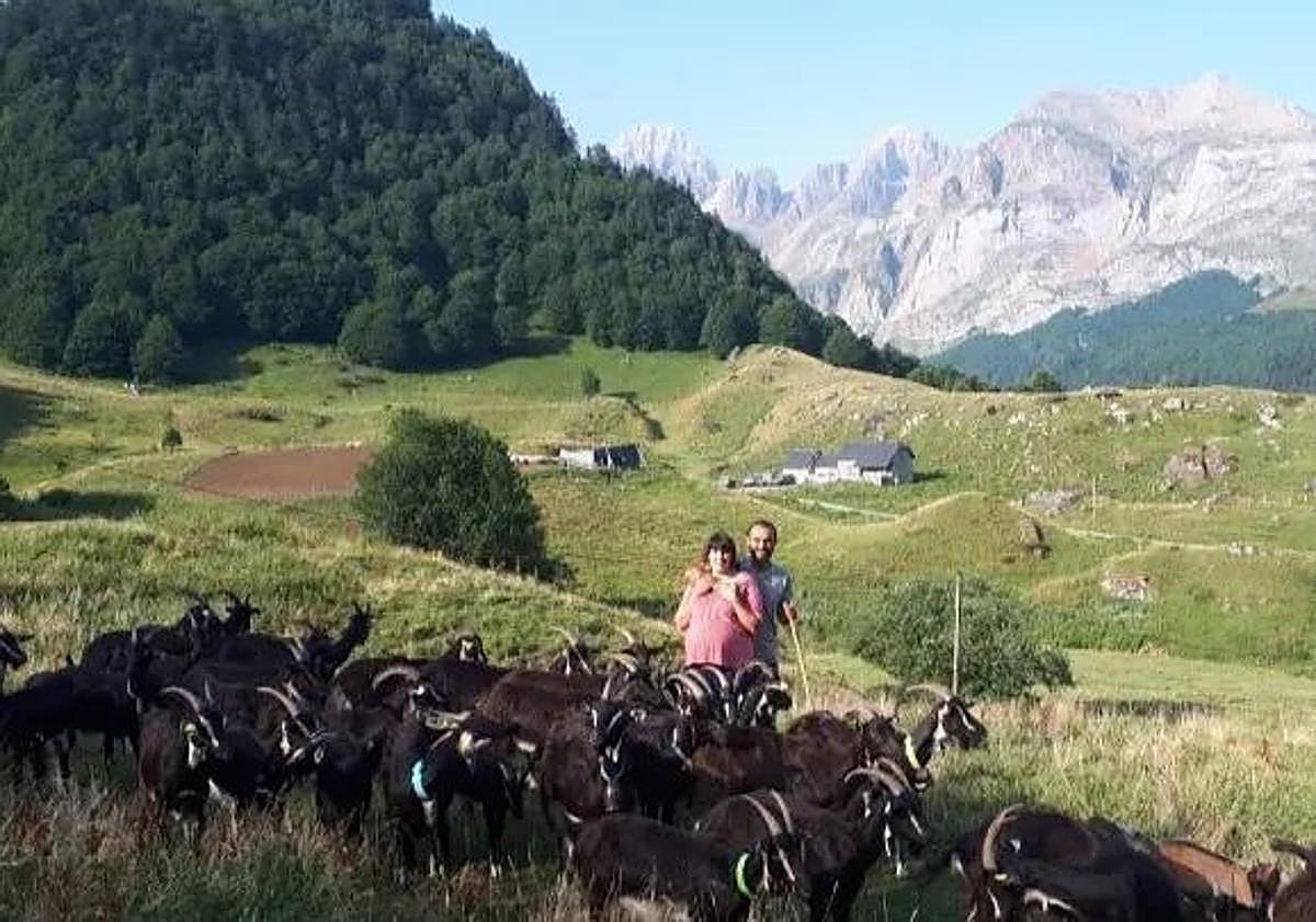 Imagen principal - Una pareja busca financiación para crear una quesería artesanal en un pueblo de Burgos