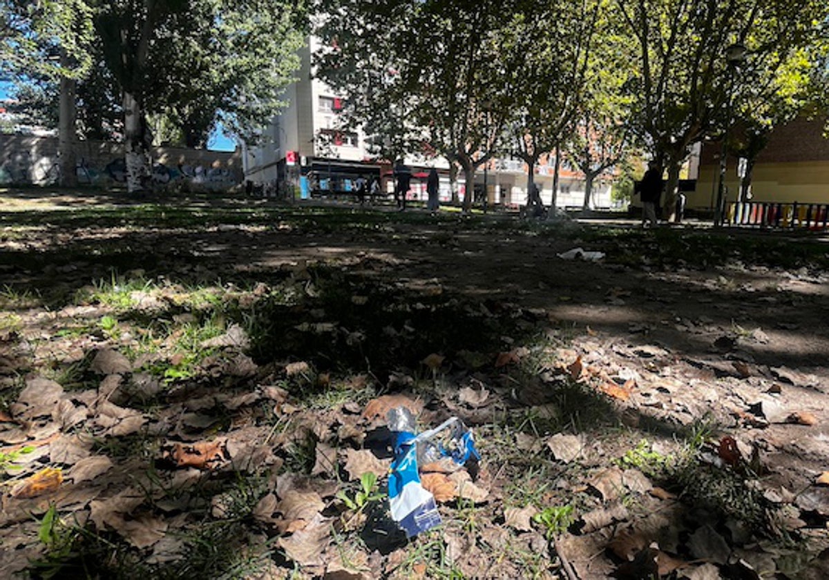 Zonas verdes descuidadas y sucias en el entorno de Molino Salinas.