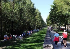 La tradicional Marcha de las Peñas.