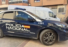 La Policía Nacional ha detenido al hombre en Aranda de Duero.