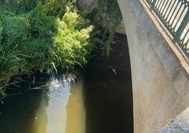 color del agua del río a su paso por Pampliega.